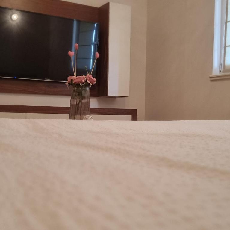 Sarajevo Apartman Čikma - Standardni Studio - 11