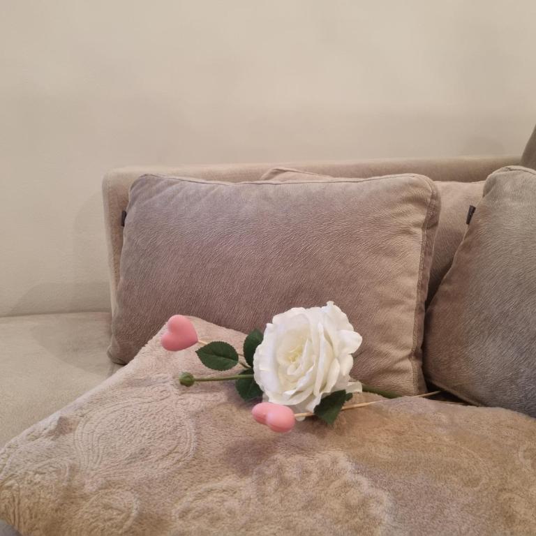 Sarajevo Apartman Čikma - Standardni Studio - 6