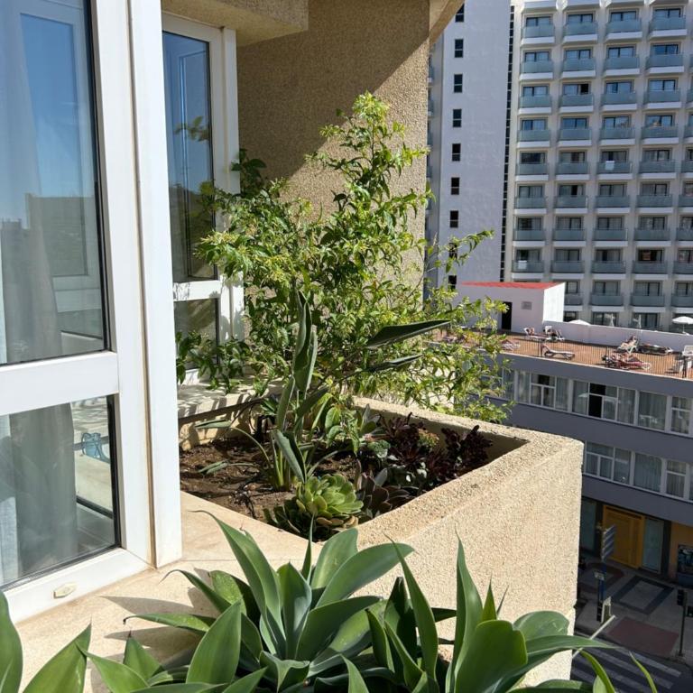 Oasis with terrace and sea views with rooftop pool - Apartamento de 2 dormitorios - 25