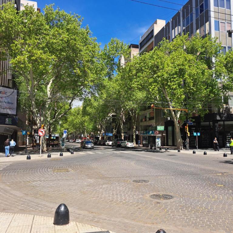Departamento Ejecutivo - Apartamento de 2 dormitorios - 14