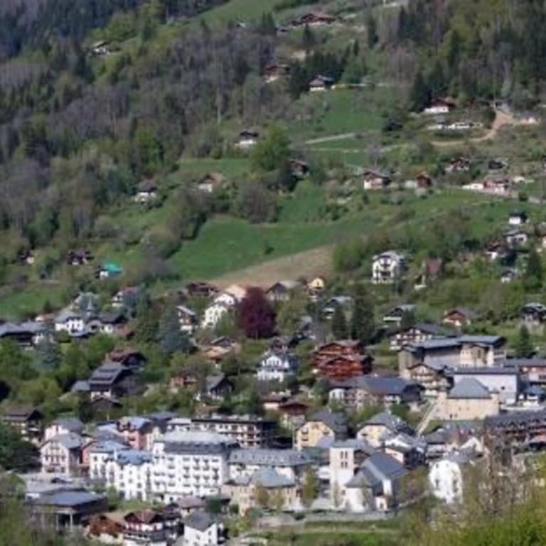 Emeraude, petit cocon proche des pistes - Studio mit Bergblick - 5