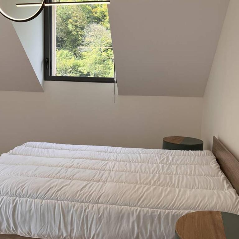 Lodge duplex pour 8 pers, 3 parkings, proche centre - FR-1-234-323 - Appartement - 24