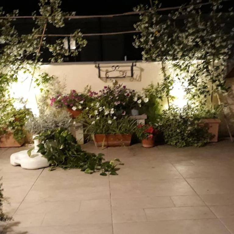 mansarda con terrazzo centralissima - Appartamento con 1 Camera da Letto - 15