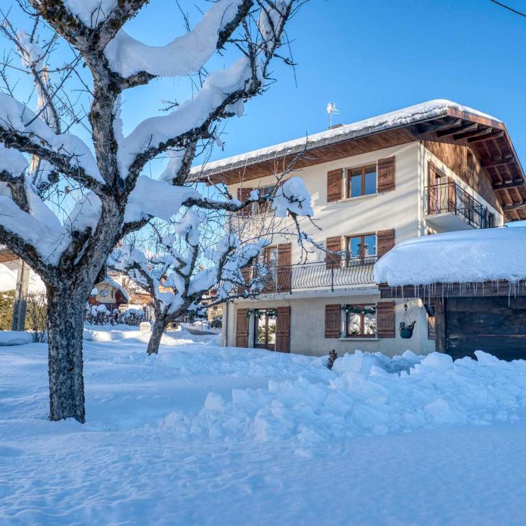 Appartement cosy 1 chambre à Megève avec WiFi et parking - FR-1-453-122 - Appartement (2 Adultes) - 10