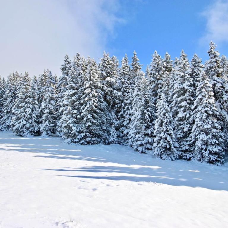 Studio cosy avec balcon et animaux admis à Chamrousse - FR-1-340-280 - Monolocale - 8