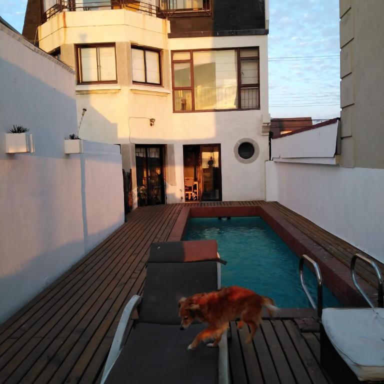Casa Murphy - Vacation Home - 17