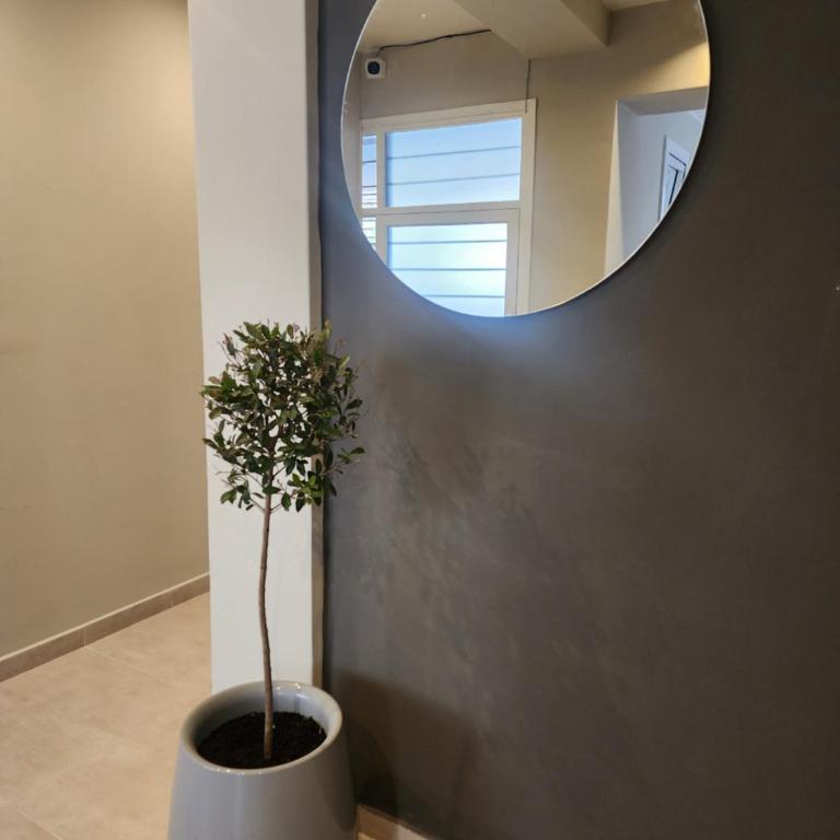 Departamento Emilio Jofré III - Céntrico con estacionamiento y dos baños - Apartamento - 34