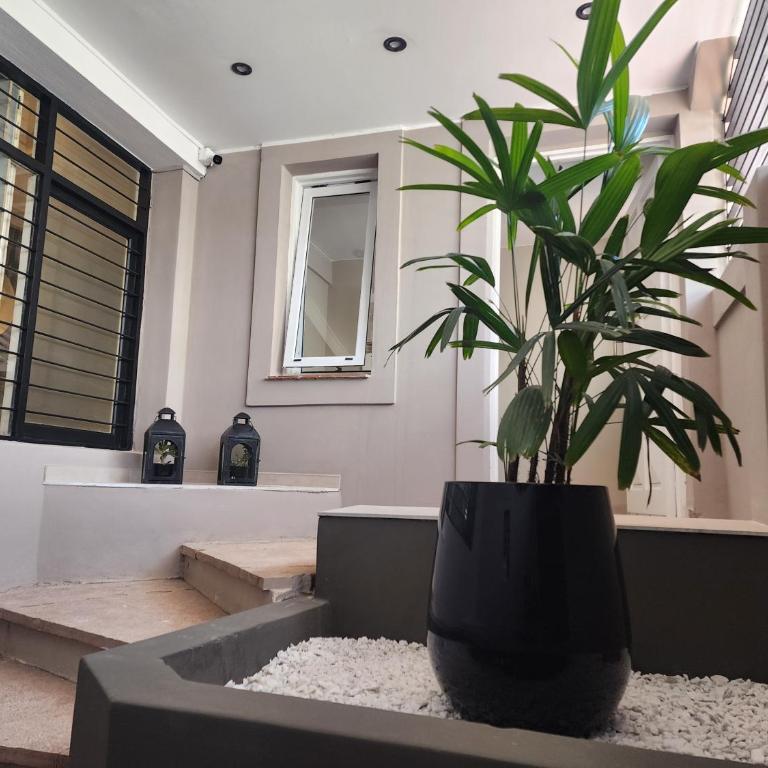 Departamento Emilio Jofré III - Céntrico con estacionamiento y dos baños - Apartamento - 30