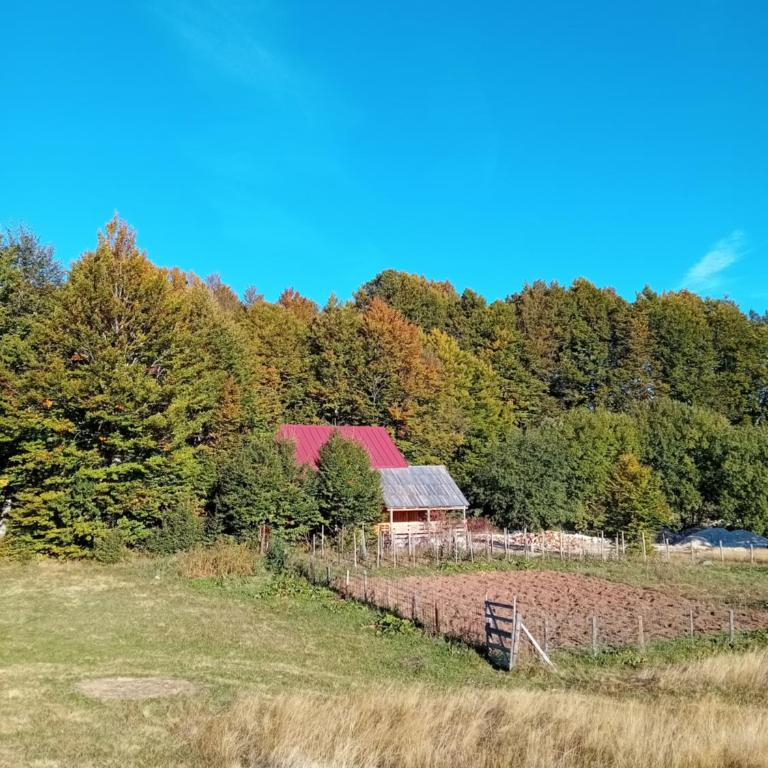 Miracle garden - Two-Bedroom House - 57