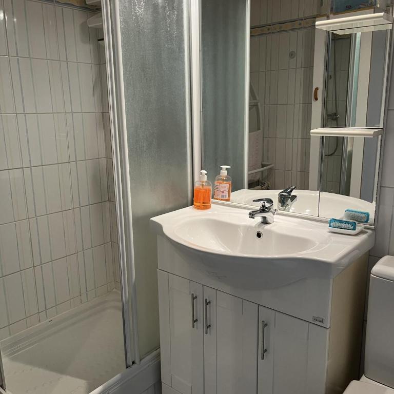 Les Piimprenelles - Maison 1 Chambre - 12