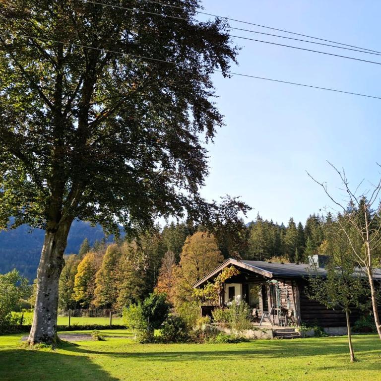 Chalet Scheffsnoth - One-Bedroom Apartment - 1