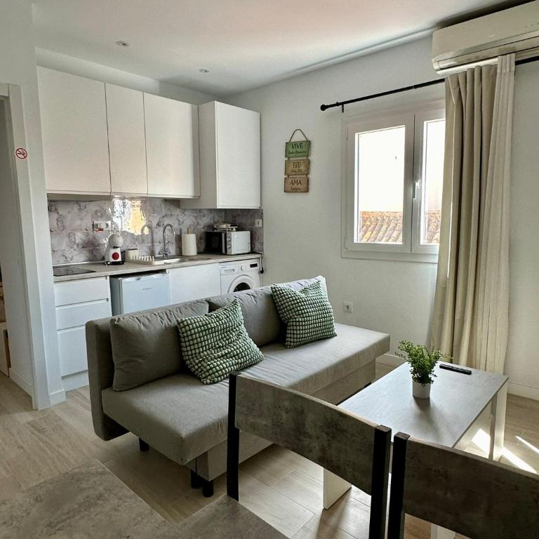 Apartamento con Solarium en Málaga Centro - Apartamento de 1 dormitorio - 21