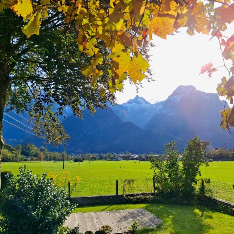 Chalet Scheffsnoth - One-Bedroom Apartment - 27
