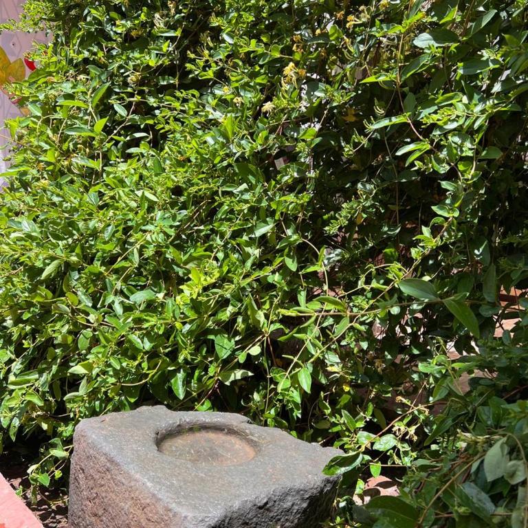 Cusco3casadefamilia - Apartment - 1