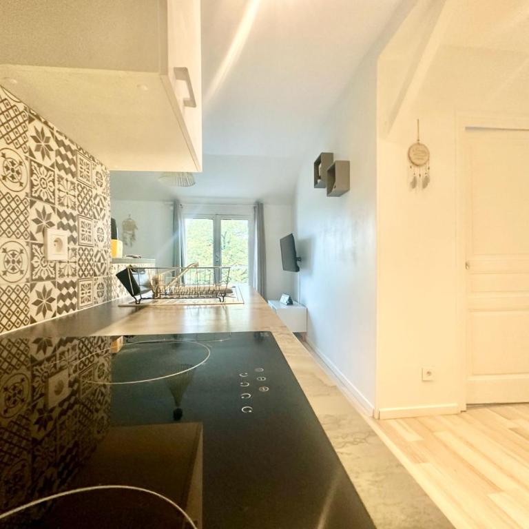 L'Oasis, lumineux et zen - Appartement 1 Chambre - 3