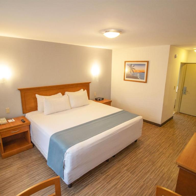 Araiza Palmira Hotel y Centro de Convenciones - Habitación Estándar - Cama extragrande - 2