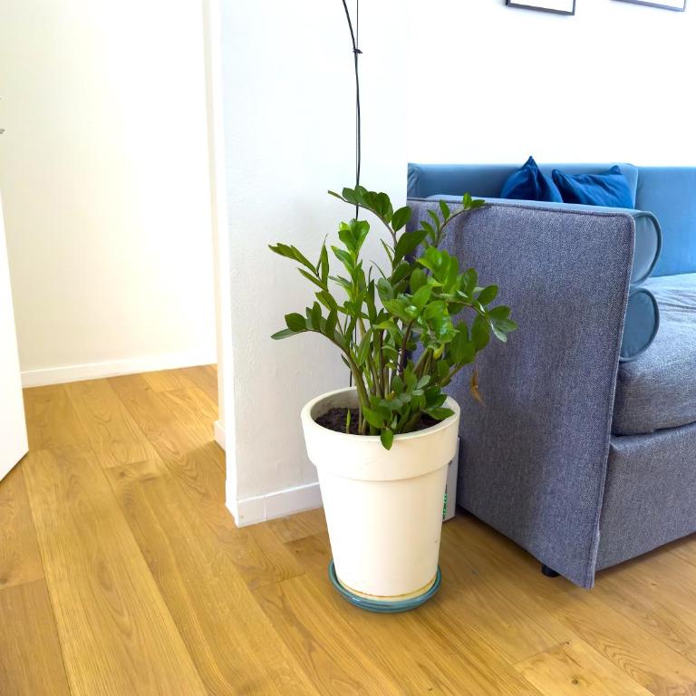 Zeus - Luxury Apartment - Appartamento con 3 Camere da Letto - 22