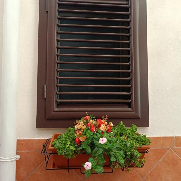 Oracolo Di Delfi - One-Bedroom Apartment - 12