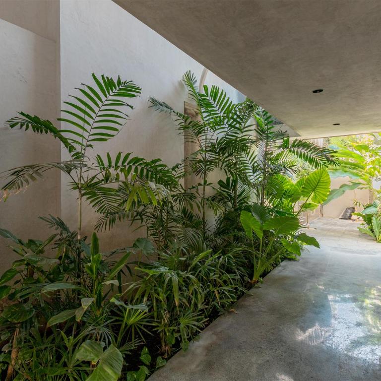 Departamentos Central by VIATO - Penthouse Apartment - 14