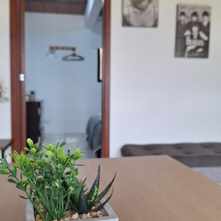 Aparta Estudio 101 NUEVO - Apartamento de 1 dormitorio - 9