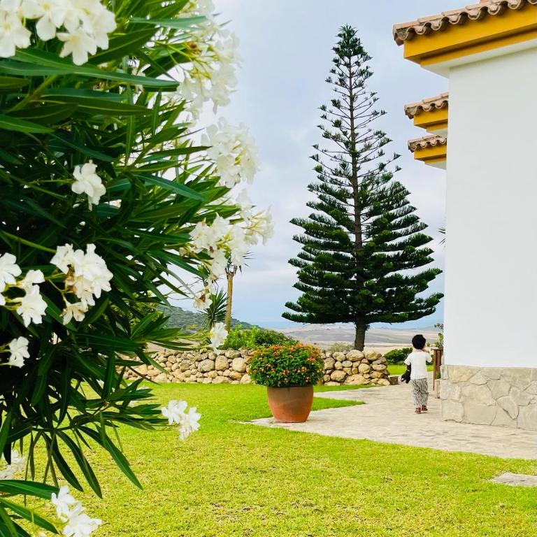 Finca la Vina - Villa con piscina privada - 17