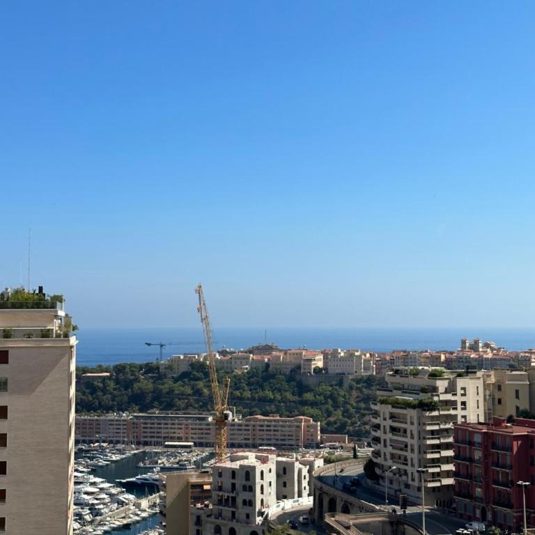 Studio confort Business 20m2 - 2 min a pied de Monaco - Appartement 1 Chambre - 24