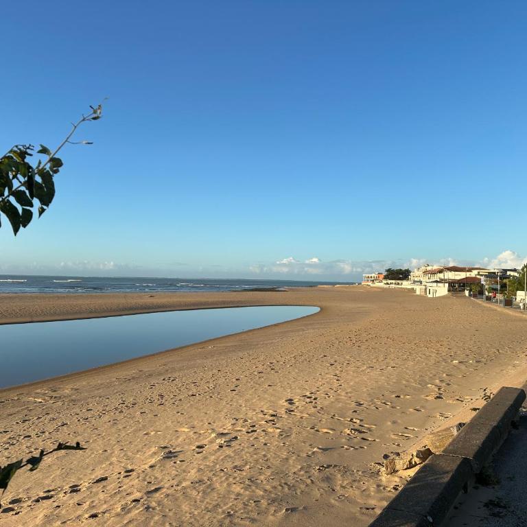 Studio Mer et Soleil avec Terrasse, en centre-ville, parking - Maison 1 Chambre - 26