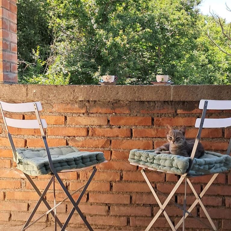 La Quercia e il Castagno Country & Relax - Casa con 2 Camere da Letto - 19