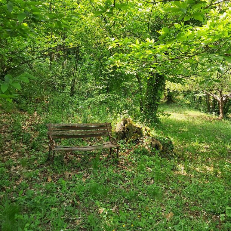 La Quercia e il Castagno Country & Relax - Casa con 2 Camere da Letto - 39