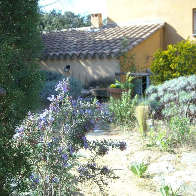 La POULIDO au pied du Mont Ventoux PROVENCE - Appartement 1 Chambre - 14