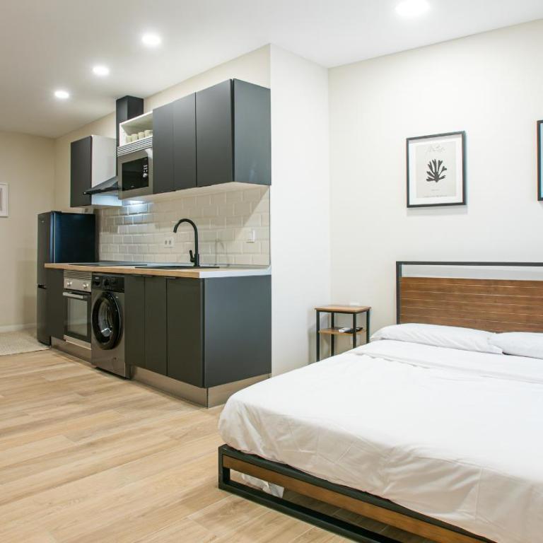 Madrid confort urbano Studio cocina WIFI - Apartamento de 1 dormitorio - 1