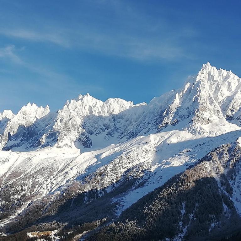 Résidence plein sud en vallée de Chamonix - Appartement 3 Chambres avec Vue sur la Montagne - 4