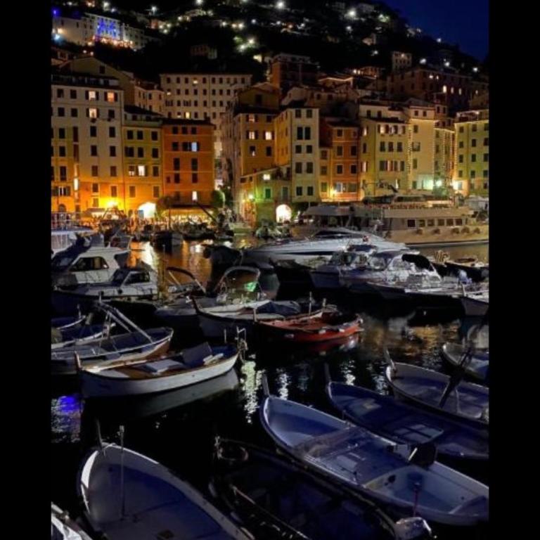 Casa Portofino - Monolocale - 23