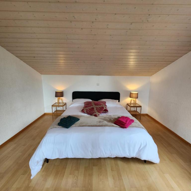 La Villa Joly - Avenches - Haus mit 3 Schlafzimmern - 18