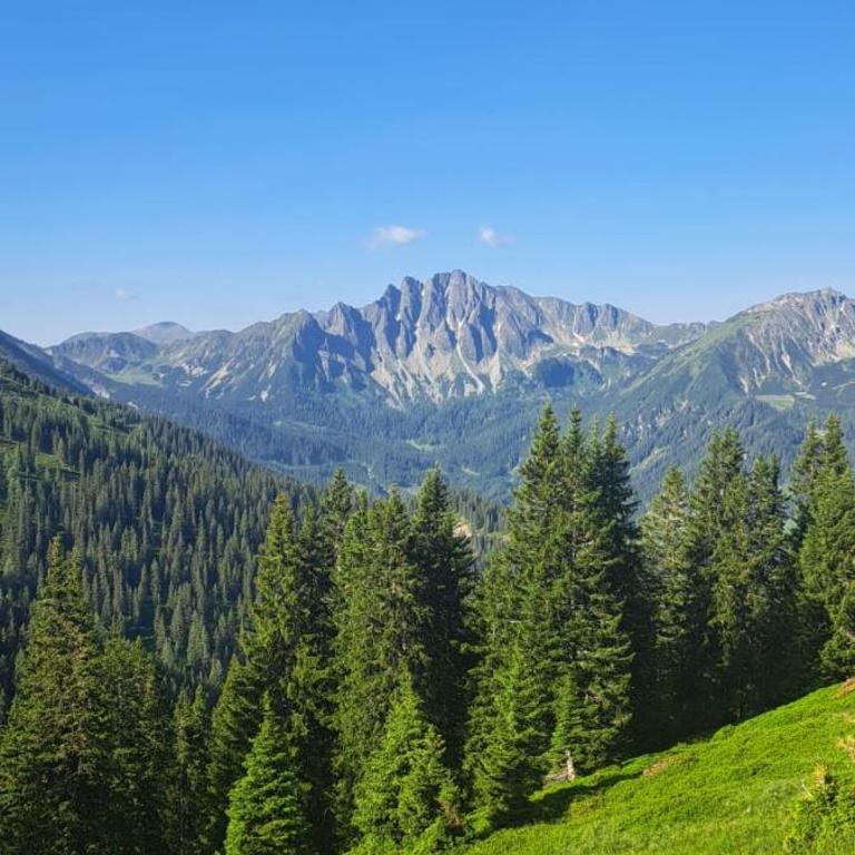 Gemütliches Ferienhaus mit Holzofen und Sauna - Haus mit 2 Schlafzimmern - 36