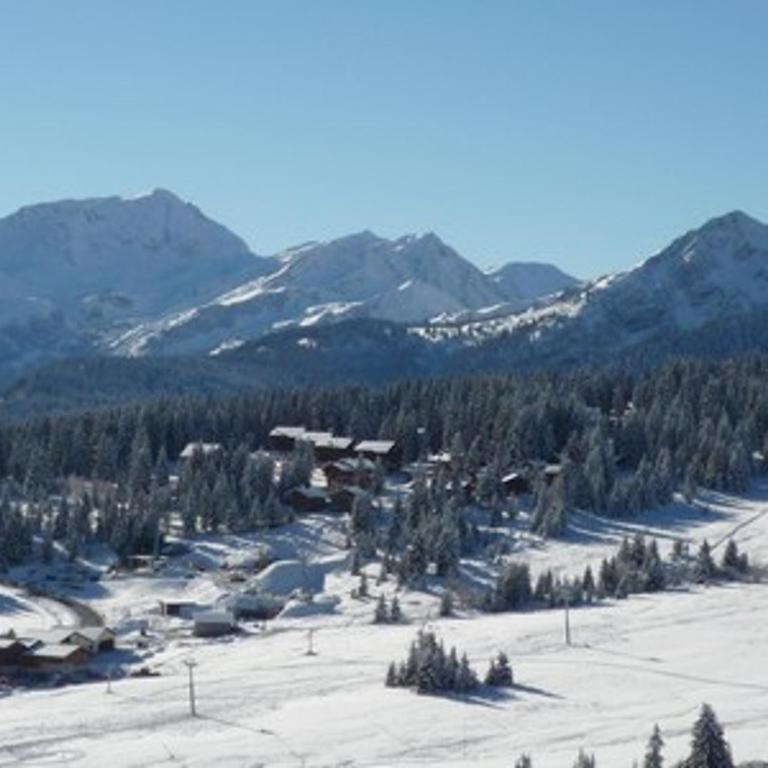 Duplex aux Saisies - 6 pers, Animaux admis, Vue pistes - Two-Bedroom Apartment - 4