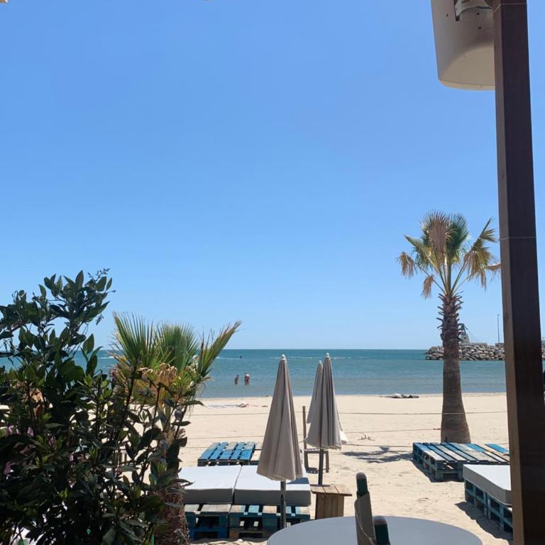 Face à la mer Terrasse ensoleillée &loggia panoramique-4 personnes- - Appartement - 10