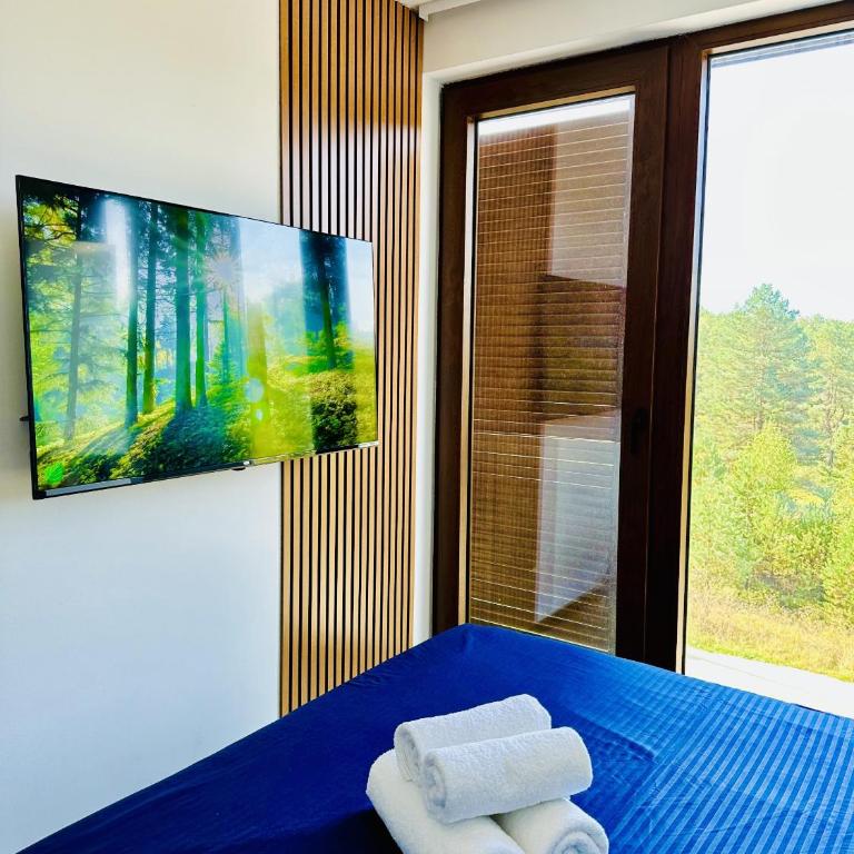 Indigo Royale apartman Borovi - One-Bedroom Apartment - 9