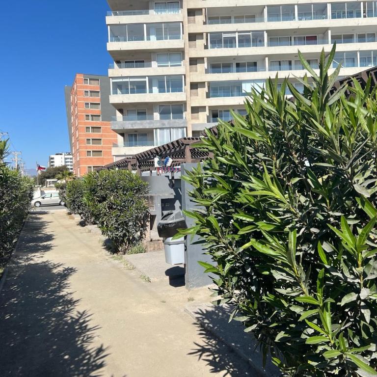 Departamento en la serena - Apartamento de 2 dormitorios - 4