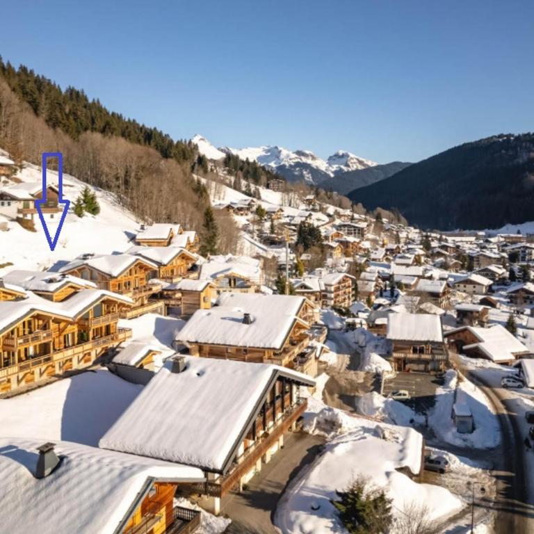 Appartement de charme avec jacuzzi et parking, 6 pers. aux Gets - FR-1-598-92 - Apartment (6 Erwachsene) - 15