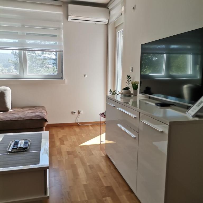 MDM Apartman Vrnjačka Banja - One-Bedroom Apartment - 76