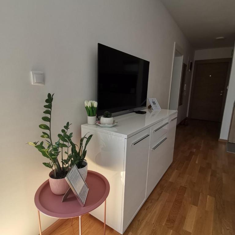 MDM Apartman Vrnjačka Banja - One-Bedroom Apartment - 81