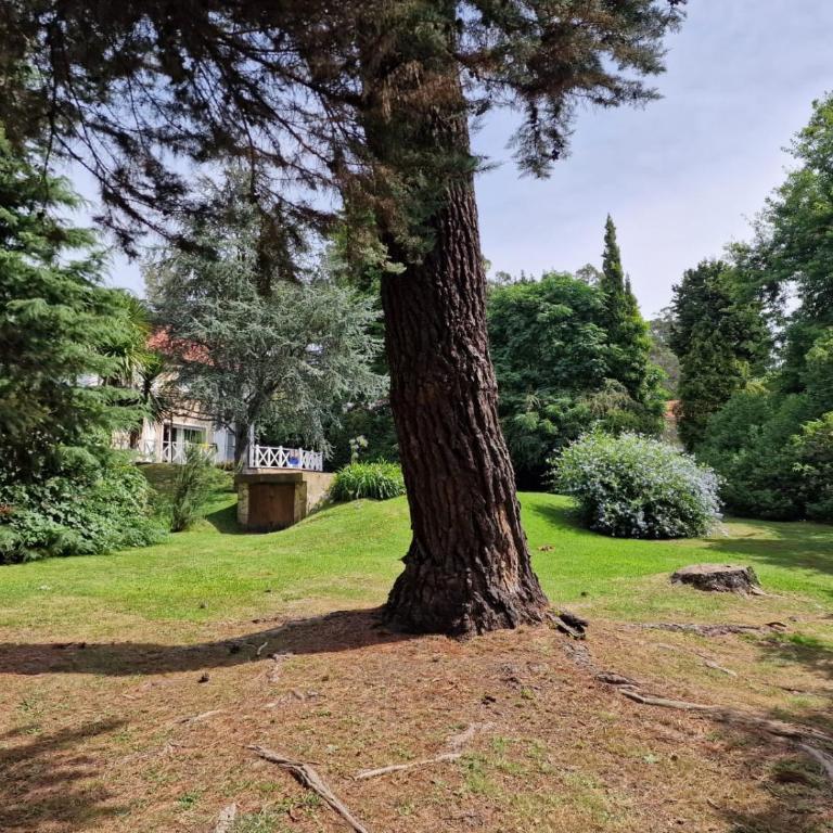 Oasis de la Sierra - Casa de 3 dormitorios - 2