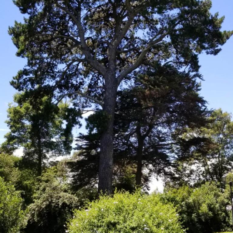 Oasis de la Sierra - Casa de 3 dormitorios - 4