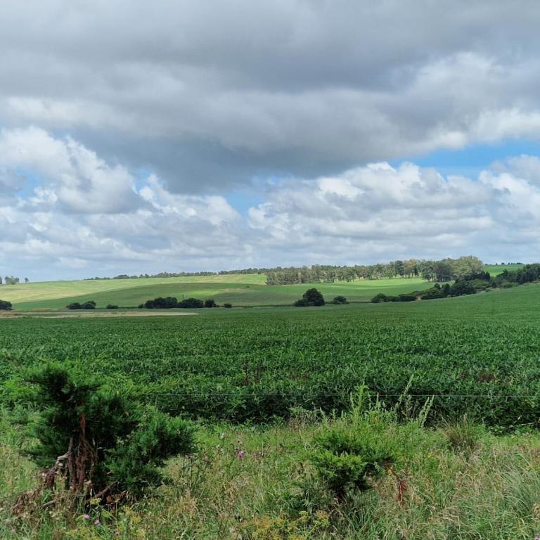 Oasis de la Sierra - Casa de 3 dormitorios - 12