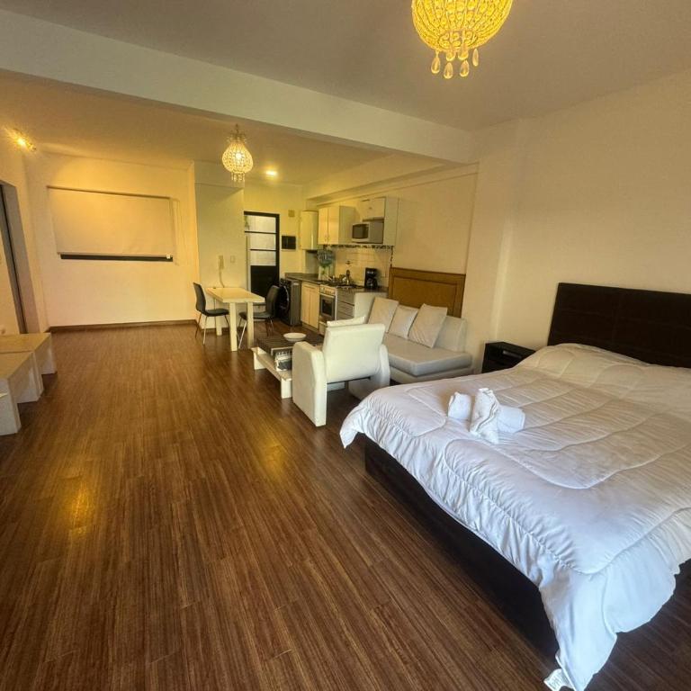 GranMonoambiente Pedraza 2134Uno - Apartamento de 1 dormitorio - 28