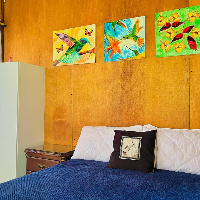 Cabañas Los Gulungos Lodge - One-Bedroom Chalet - 5