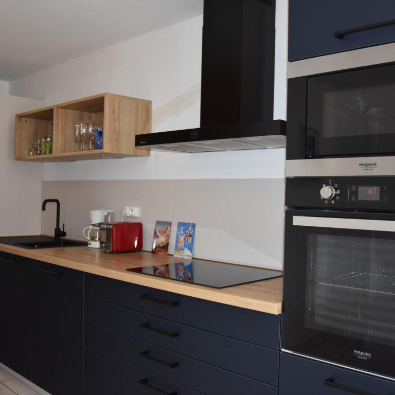 Appartement rénové avec grande terrasse et animaux admis - FR-1-464-238 - Appartement - 4