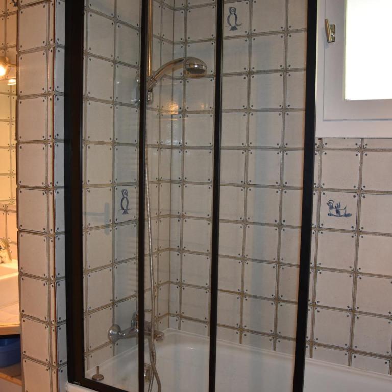 Appartement rénové avec grande terrasse et animaux admis - FR-1-464-238 - Appartement - 11