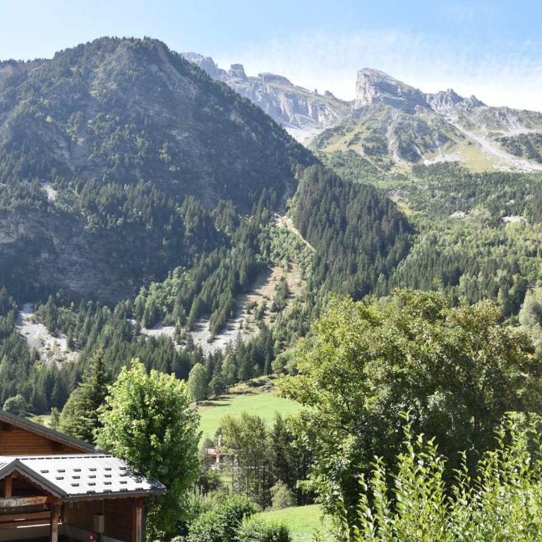 Appartement rénové avec grande terrasse et animaux admis - FR-1-464-238 - Appartement - 14